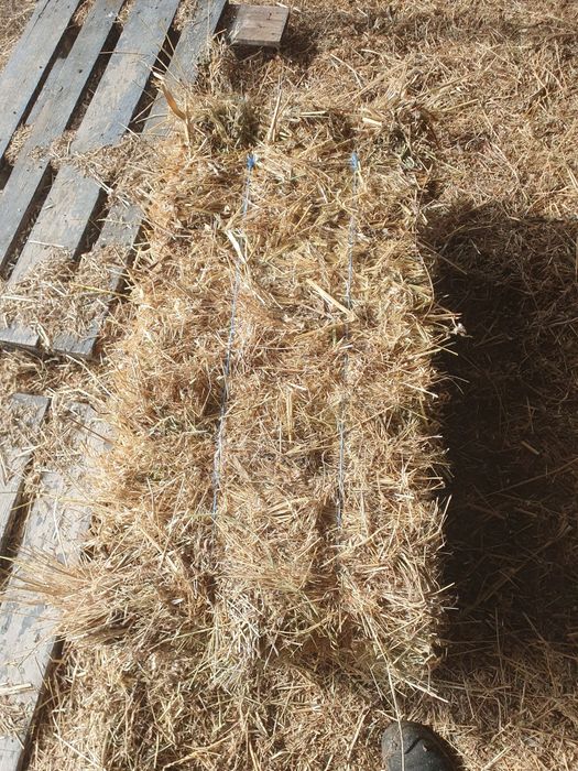 Baloti de iarba si ovaz