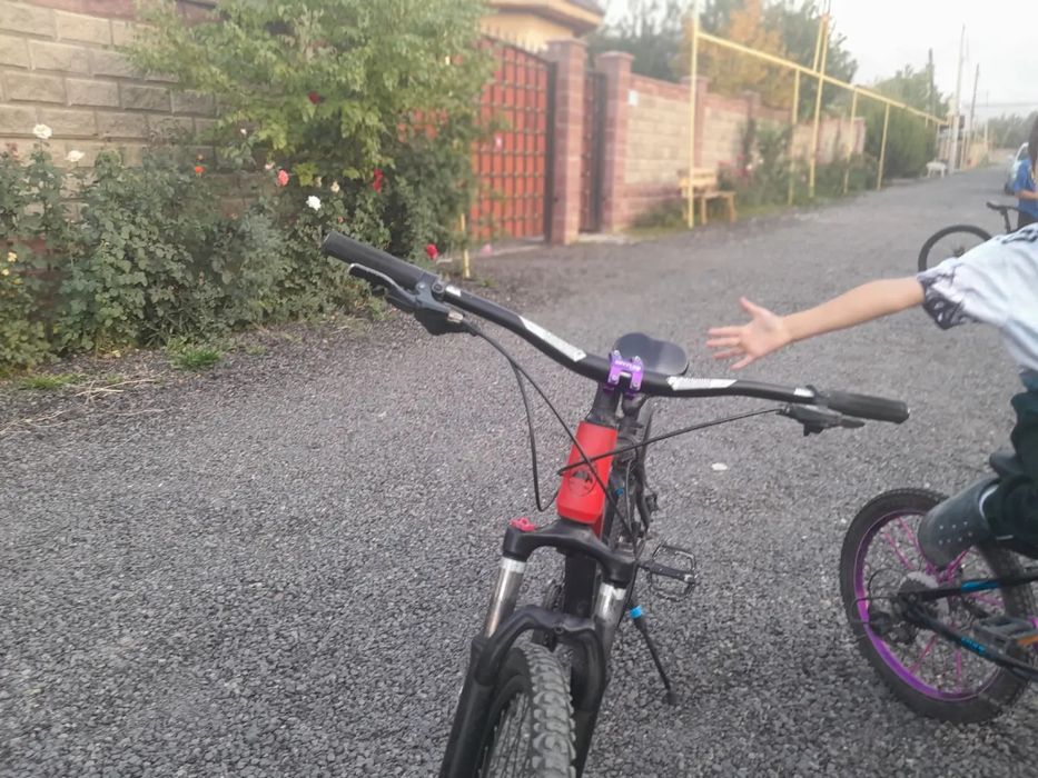 Стант велик тианс