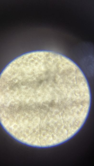 Карманный микроскоп Carson