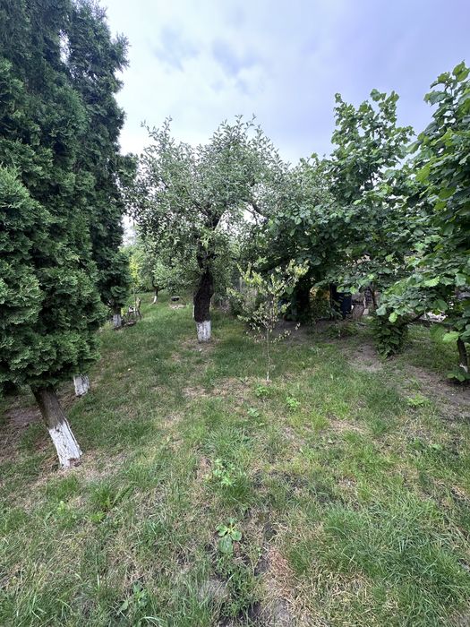 Casă de vânzare