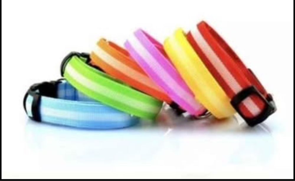 Zgarda caini, guler pentru caini cu Led, zgarda led usb