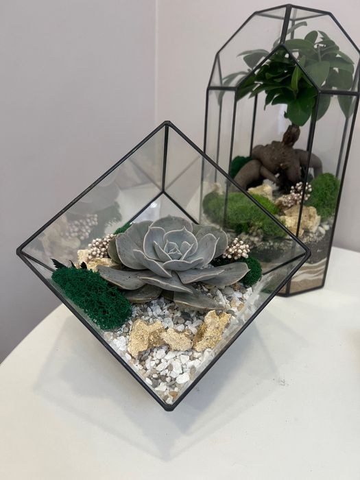 Флорариум подарок