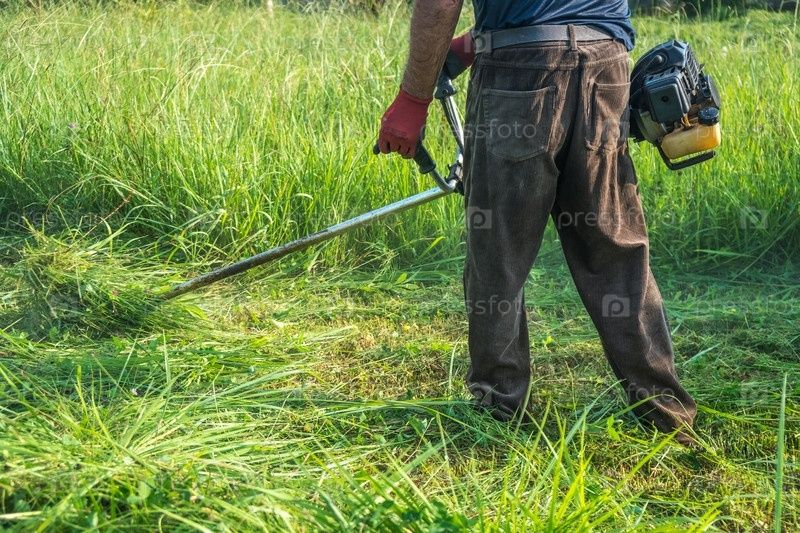 Покос травы и газона