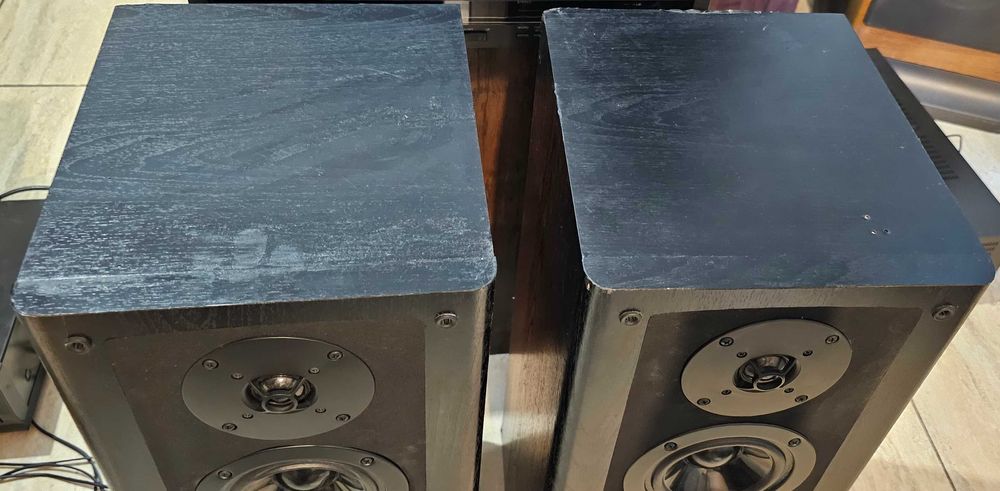 Boxe Technics SB-EX3 Bi-Wire, 3 cai, bass reflex