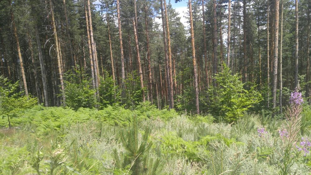 Земеделска земя до язовир, 4 дка.