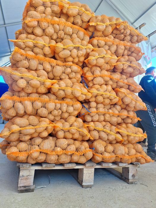 Cartofi de Vânzare - Albi și Roșii - Direct de la Producător