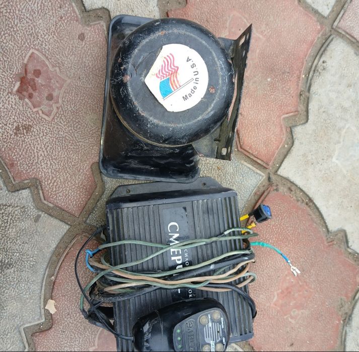 Сгу элина оригинал