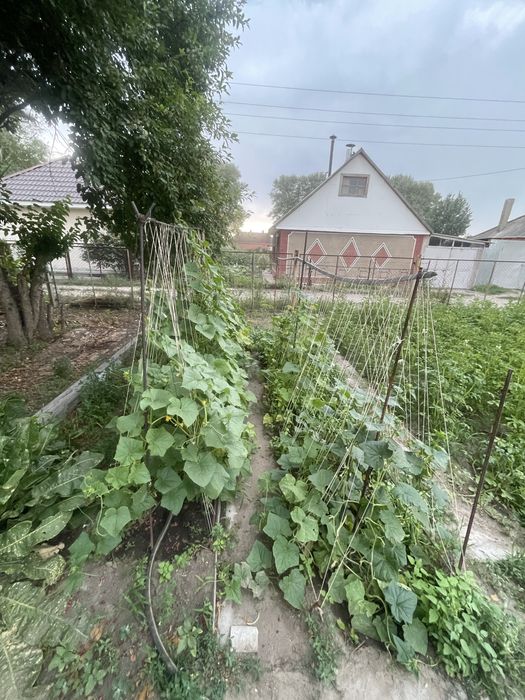 Продам дачи на Солнечной долине