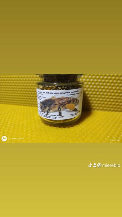 Apicultor vând miere de albine 100% naturala