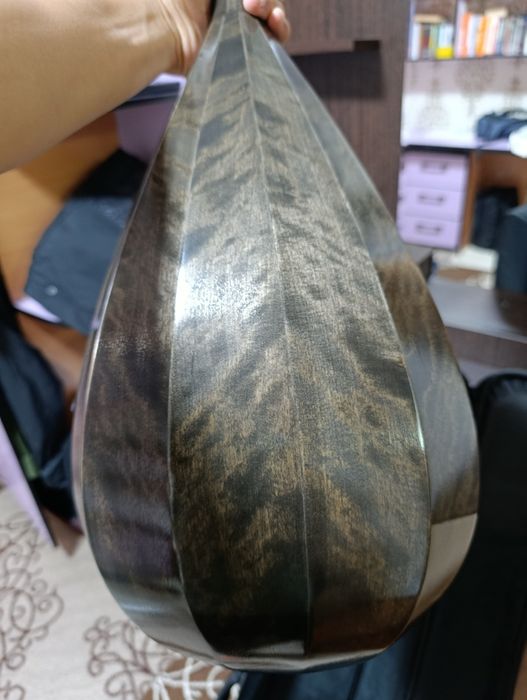 Профессионалды домбыра