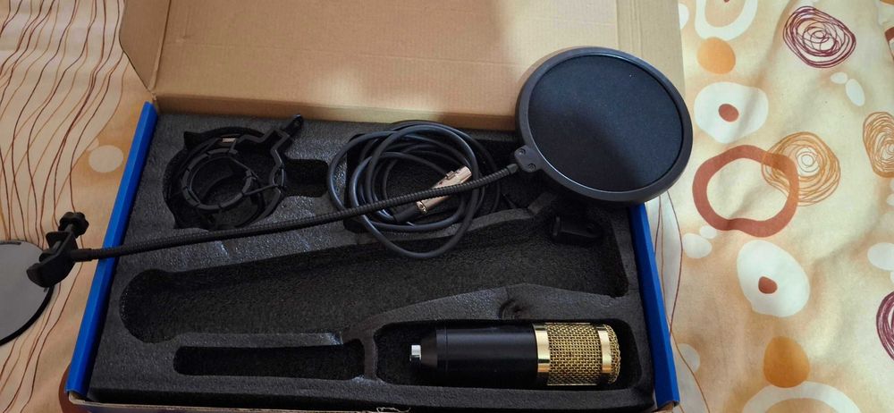 Microfon professional sau pentru streaming