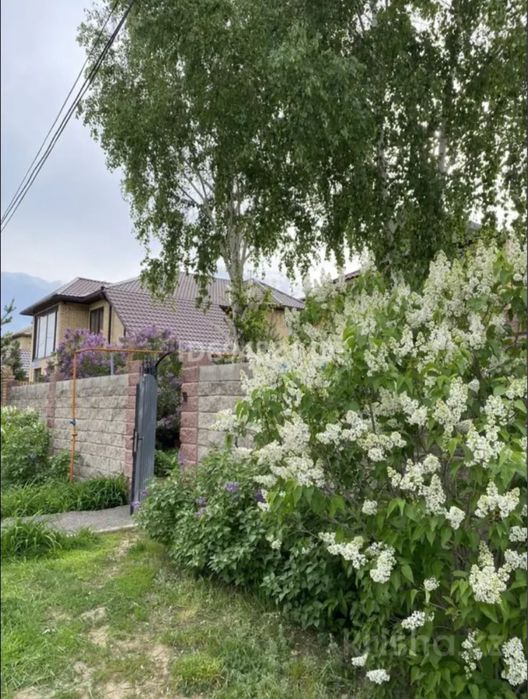 Продается дом с участком