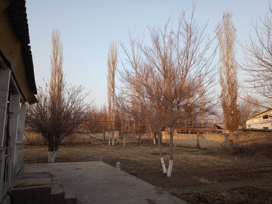 Ким Пен Хва участка ИЖОРАГА