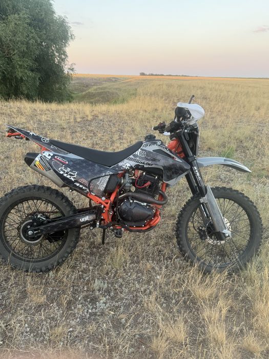 прогаси пальма 300