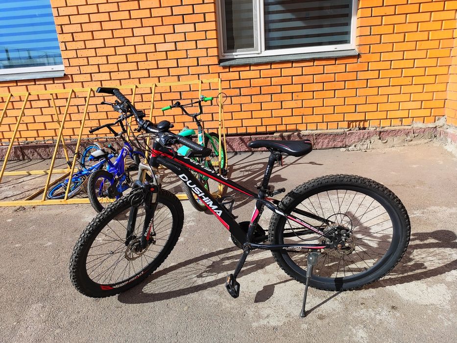 Велосипед фирмы DUSHIMA