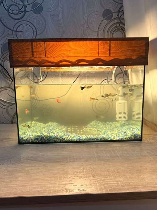 Продам акварюм .