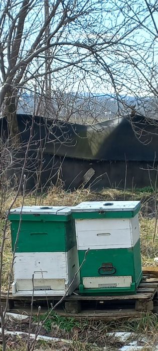 Vând stupi multietajati 3/4