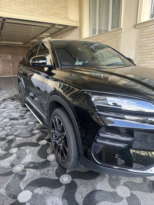 Byd champion full 2024yil