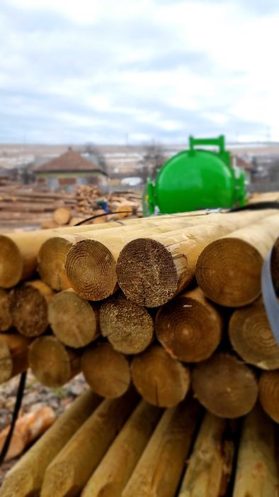 Stalp din lemn rotund ascutit diametru 14cm, L=2,0m natur sau tratat!