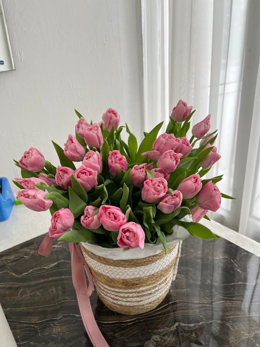 Беларусь тюльпаны опт