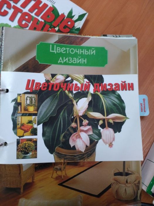 каталог по уходу за цветами