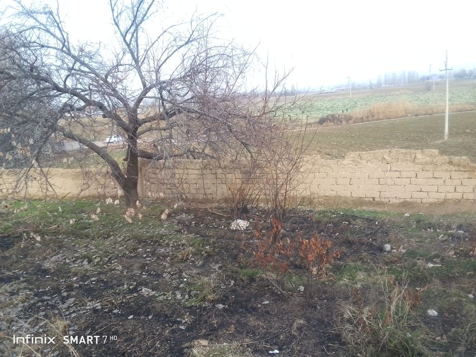 Дала ховли олти сотих