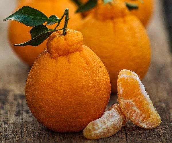Саженцы экзотических растений