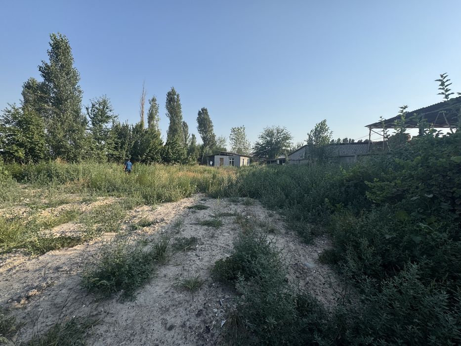 Арендага берилади Тошкент вилояти