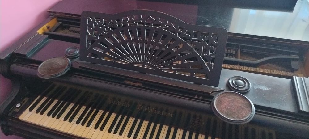 rudolf stelzhammer - in stare buna si acordat recent