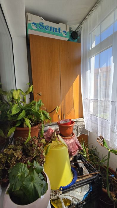 Vand apartament 3 camere etaj 1 semidecomandat