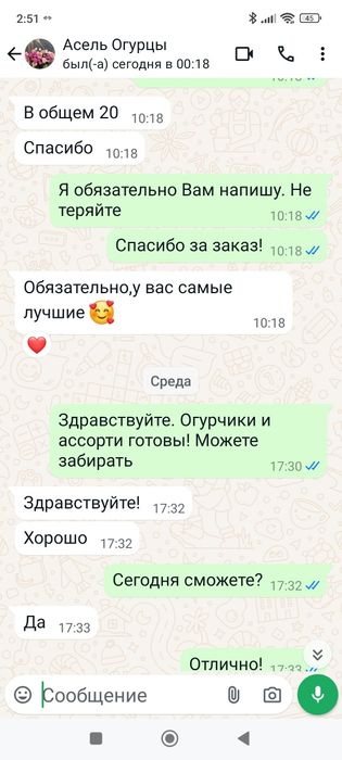 Соленые огурцы. Лучшие