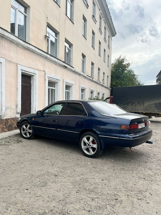 Летние шины. Резинки