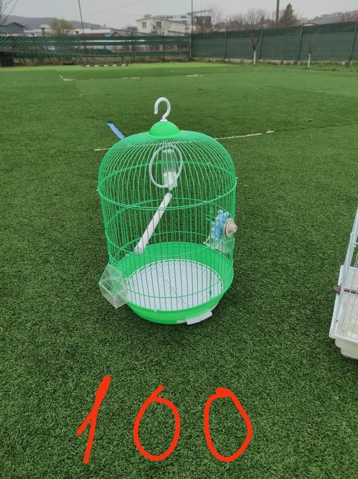 Vând cuști în Iași