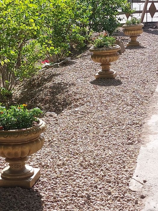 Вазоны в Балхаше