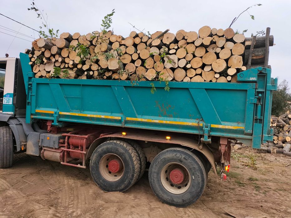 Vând lemn foc 500 LEI mc