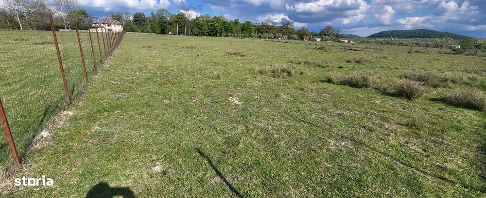 Teren intravilan(5000Mp)de vânzare, acces asfaltat