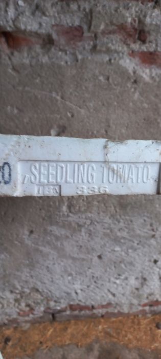 Тарелки за разсад