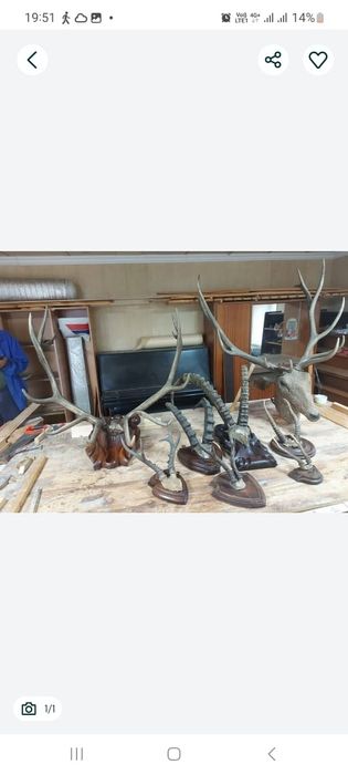 для ценителей искусства