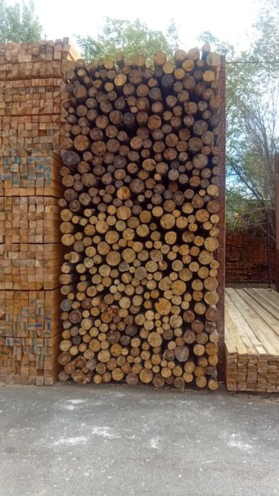 Кругляк оптовая цена