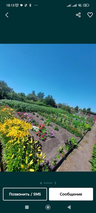 Продам дачу садовое товарищество Борки