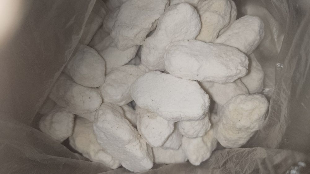 Кұрт Кегенский таза қолдың құрты