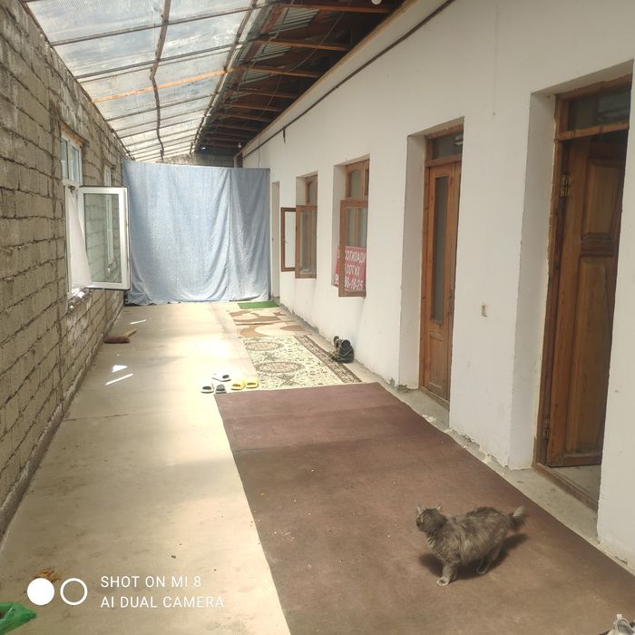 Победа 5.3 сутх сотилади