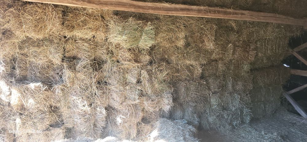 Baloti fan  de vanzare