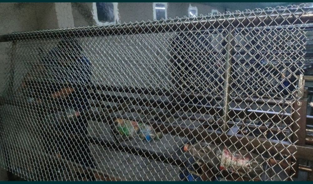 rabitsa setka sex optim dastafka bor