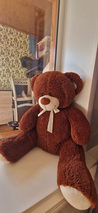 Большой медведь, ищет новый дом!