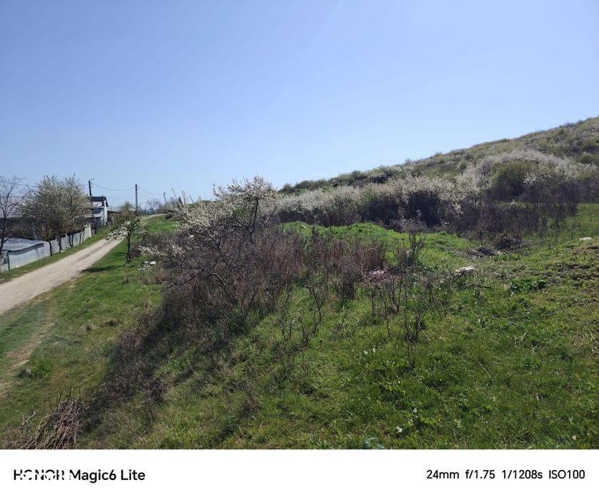 Teren 20 000 mp, deschidere 65 m, Șorogari, Aroneanu, Iasi