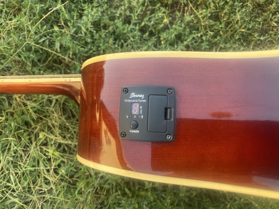 Ibanez SGT120E.