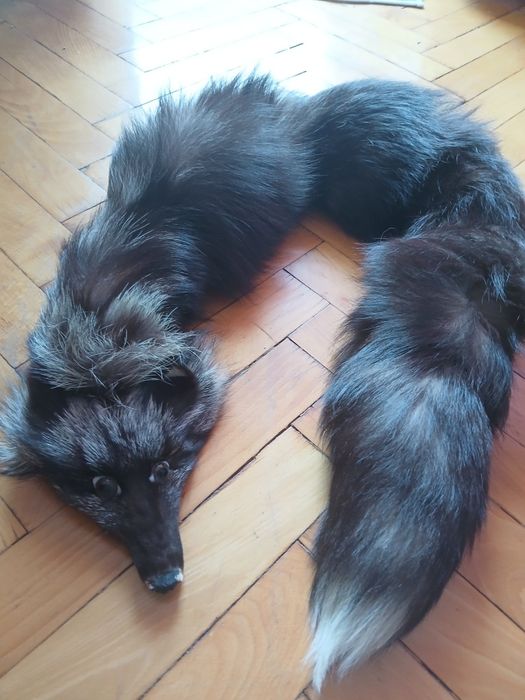 Шал/яка от сребърна лисица, естетвен косъм