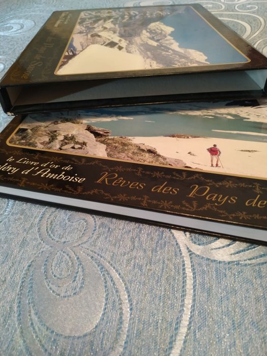 Книга о достопримечательностях Савойи ( на французском языке).