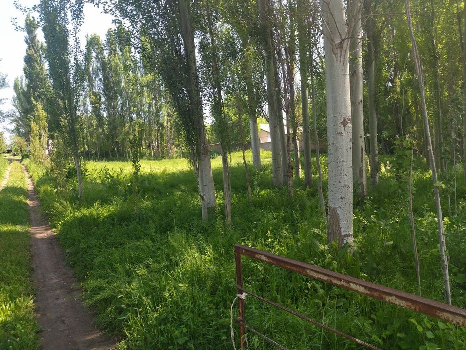 Срочна продаётся свой дом! Махала-Кангли